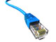 Domain Reseller